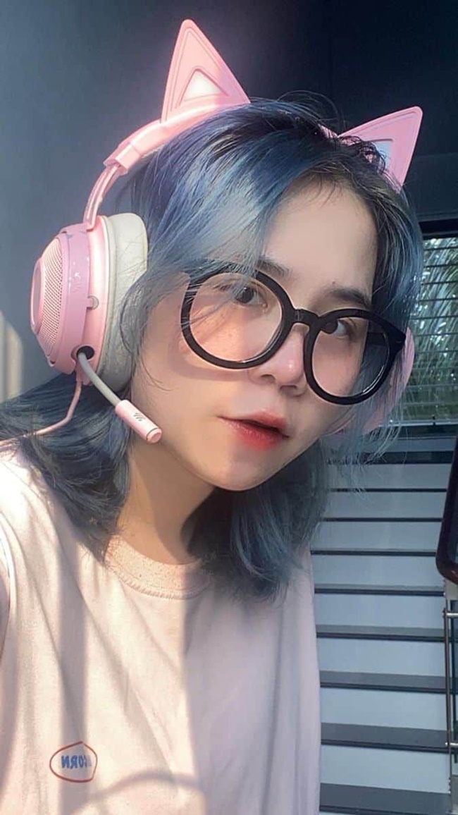 Bình luận hài hước của cư dân mạng khi thấy Mèo Simmy trong phòng thu.