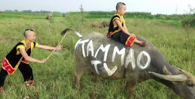 Tiểu sử Mao Đại ca